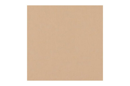 Фон бумажный FST 2,72х11 1038 Pongee (Песочный)