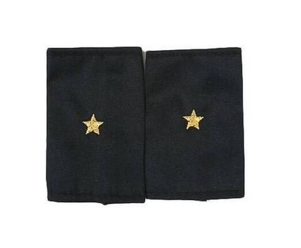 Фальшпогоны черные вышитые серые звезды мл. лейтенант