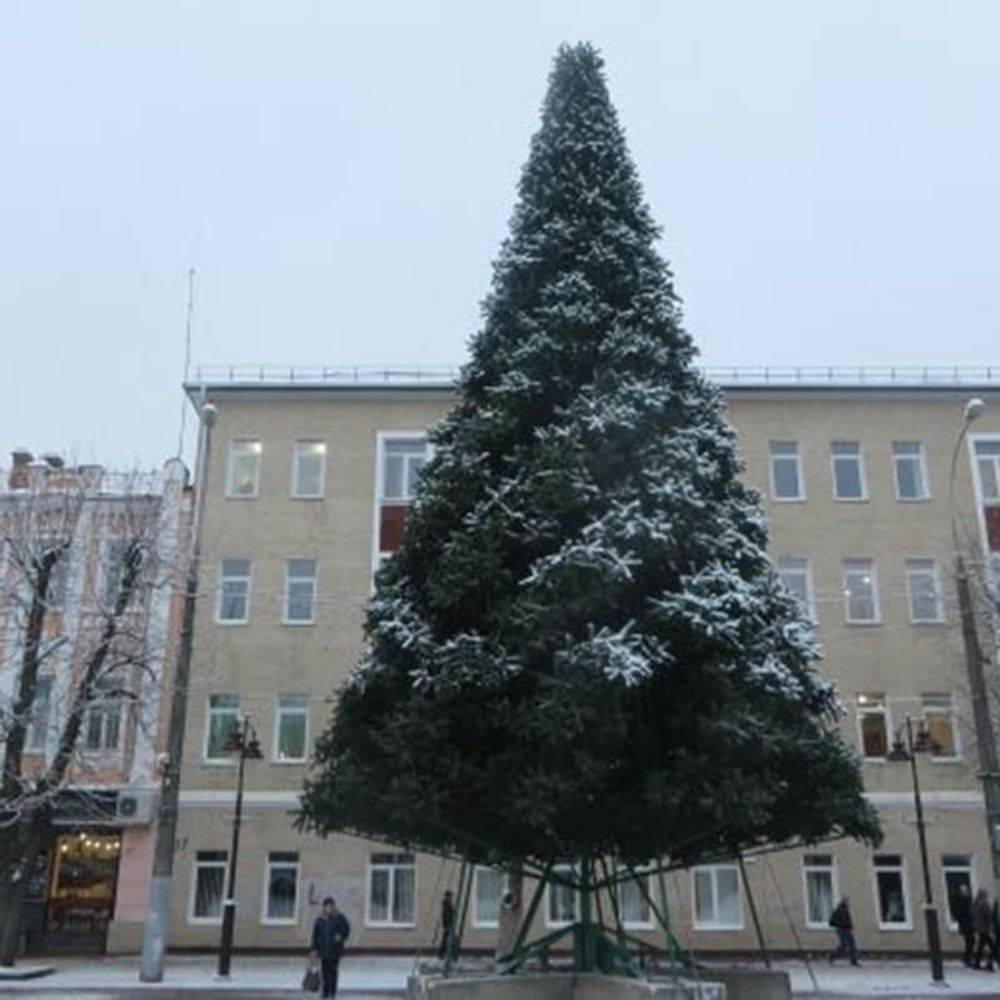 Уличная елка ствольная "Альпийская" (пвх) 3 м