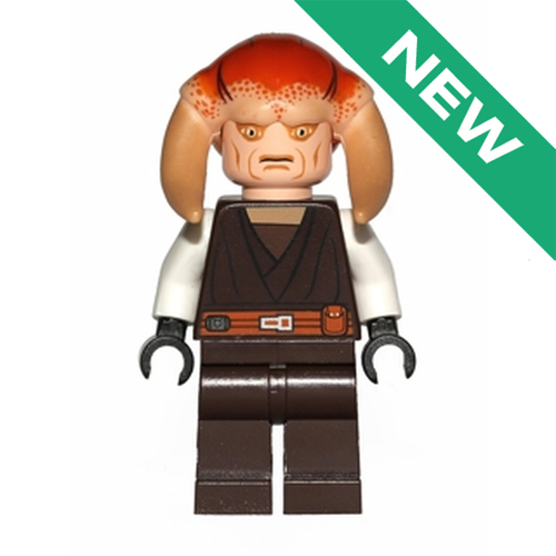 NEW Саэси Тиин sw0308