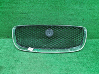 Решетка радиатора Jaguar F-PACE (2016-2020)