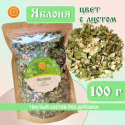 Яблоня цвет / цвет с листом.