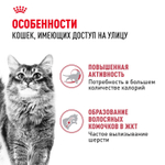Royal Canin Fit 32 Корм сухой сбалансированный для взрослых умеренно активных кошек 2 кг