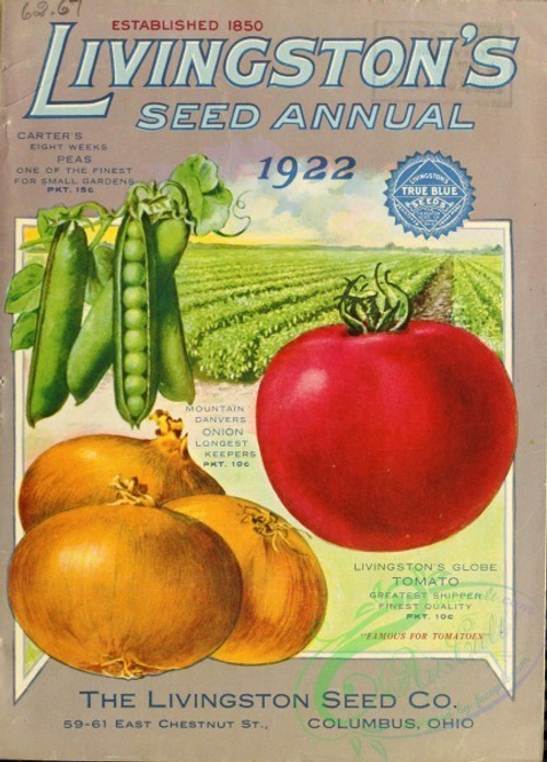 Помидоры Честное Слово Ливингстона - Livingston's Honor Bright Tomato