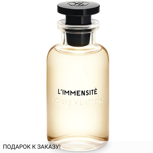 Louis Vuitton L'Immensite