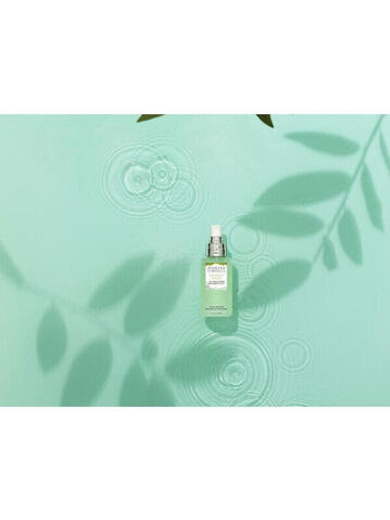 Physicians Formula The Perfect Matcha 3-In-1 Beauty Water 100 ml gesichtswasser und spray für Frauen