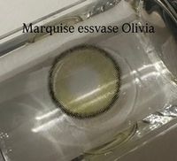 Натуральные зеленые ( оливковые) цветные линзы Marquise Essvase Olivia / Зеленые линзы для темных и светлых глаз с окантовкой / 12 месяцев