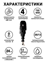 Лодочный мотор Toyama F 50 FEL-T-EFI (завод PARSUN) (4-х тактный)