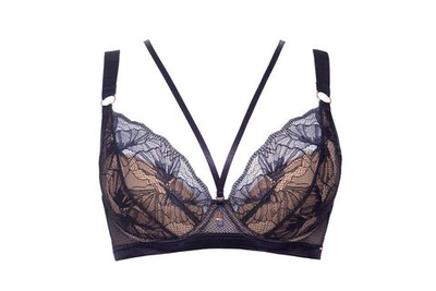 Бюстгальтер пуш-ап Volare с дополнительными съемными бретелями (Размер: 80E) (Цвет: темно-синий)