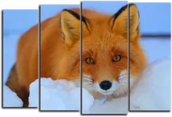 Модульная картина "Хитрая лиса"