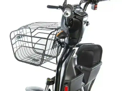 Электротрицикл E-motions TRIKE TRANSFORMER