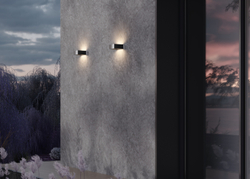 Уличный настенный светильник Outdoor O464WL-L18GF3K