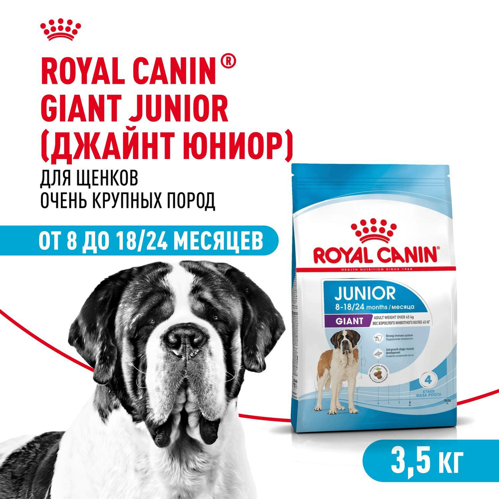 Royal Canin Giant Junior Корм сухой для щенков очень крупных пород возраст от 8 до 18/24 месяцев 3,5 кг