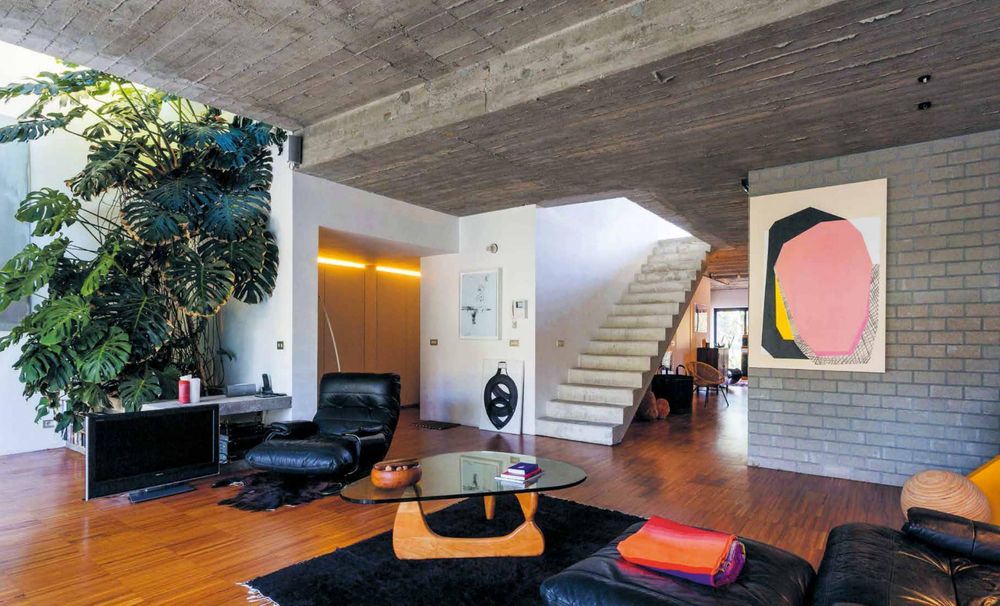 Ultimate Wonder Plants: Your Urban Jungle Interior
