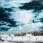 The Pineapple Thief / Little Man (LP)