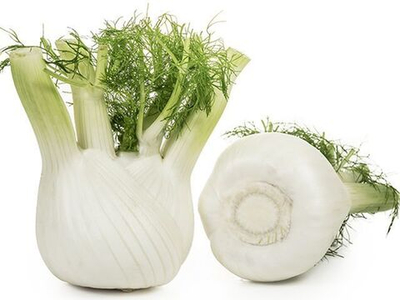 Прелюдио F1 семена фенхеля (Enza Zaden / Энза Заден)