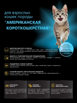 Корм для кошек Американская короткошерстная, лосось, 400 гр