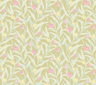 Willow-herb Als3 005