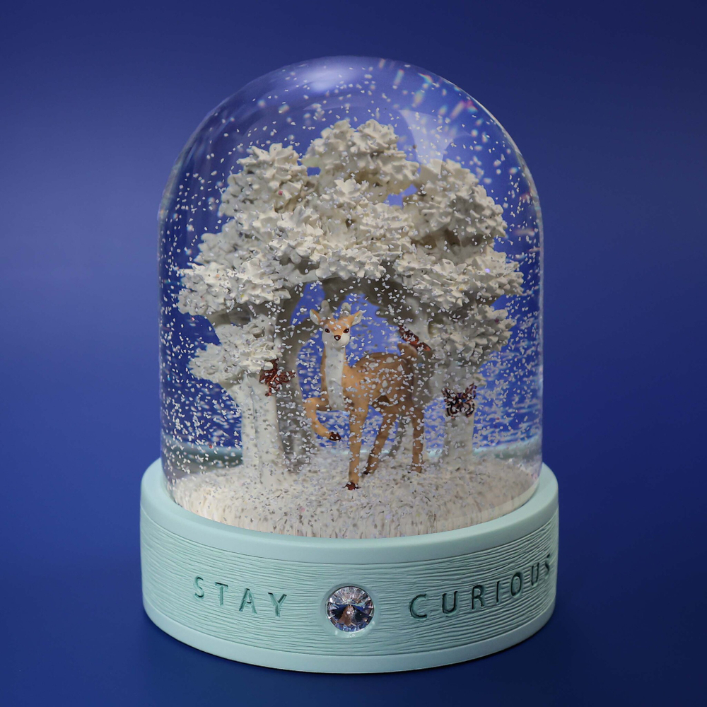 Любопытство