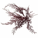 Ветка декоративная «Зимний танец» 27 см, Рубин