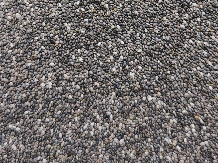 Семена Чиа 100 гр