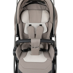 Детская коляска Pituso Teffy 4 в 1 с автокреслом Baesa Black с базой Hazel/Graphite
