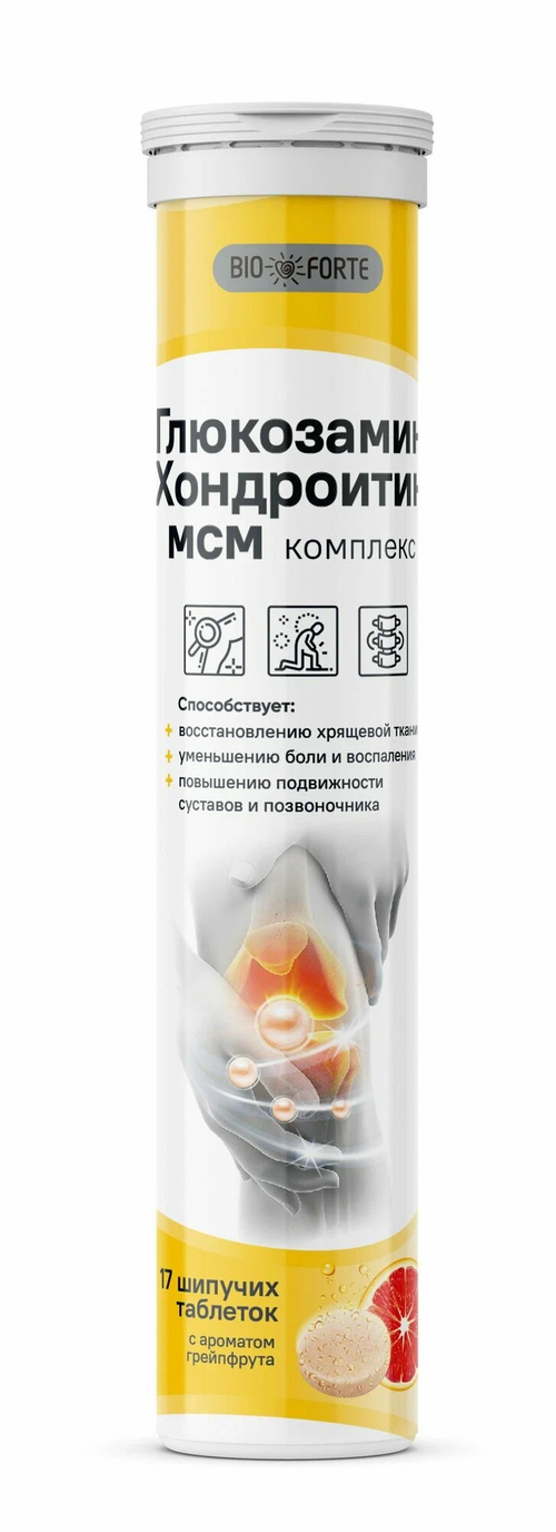 Глюкозамин Хондроитин МСМ BioForte, шипучие таблетки, 17 шт.