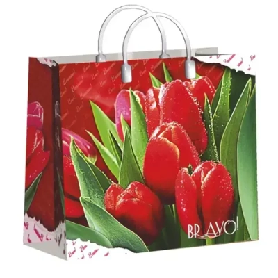 Пакет подарочный 30+10см Из мягкого пластика(Браво) Интерпак (х1)