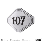 Номерок на дверь квартиры 107, для кабинета, офиса, шильдик 9 х 7 см, серебристый, Айдентика Технолоджи