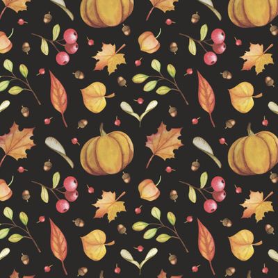 Осенние ягоды и плоды на чёрном. Акварель