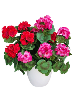 Искусственные цветы Герань красно-малиновая густая 40см в белом кашпо