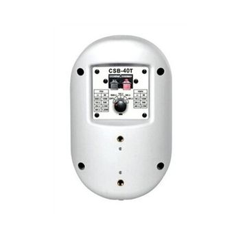 Show CSB40T (WH) - пассивная АС, 40В, динамик 4 дюймов