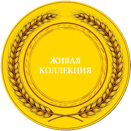 Пиво Живая Коллекция Светлое / Zhivaya Kollektsiya Svetloe 20л - кег