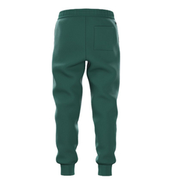 Штаны для мальчика теннисные Björn Borg Essential 1 - posy green