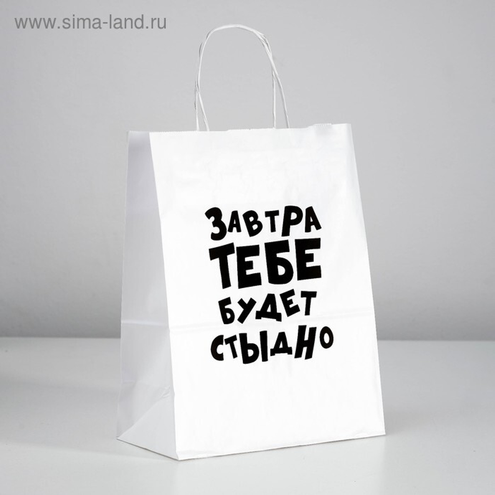 Пакет подарочный «Завтра тебе будет стыдно», 24 х 10,5 х 32 см, 1 шт