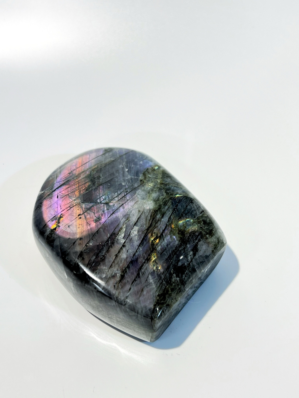 Срез Лабрадора M