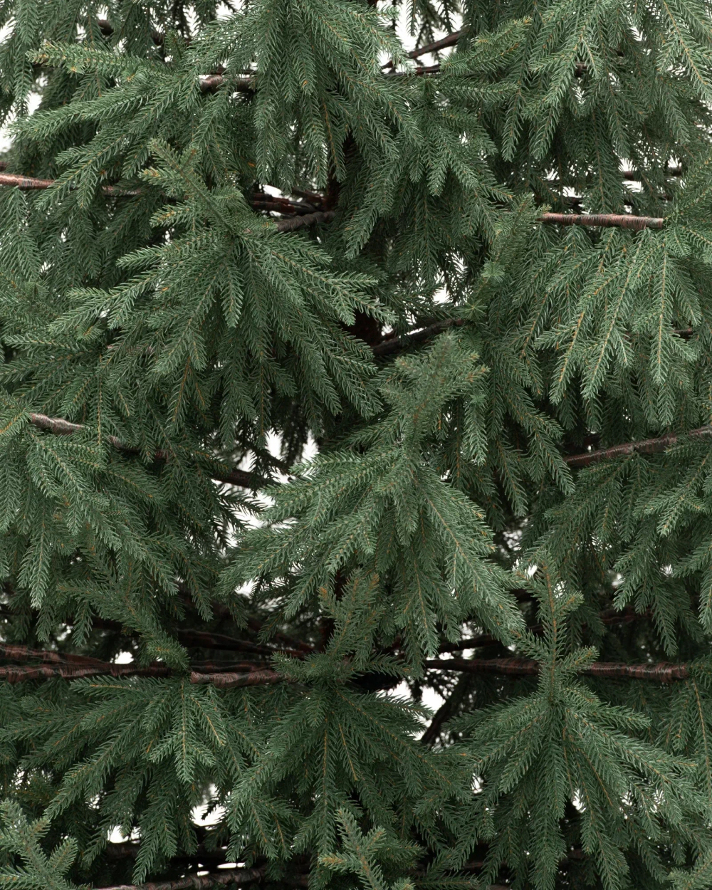 Искусственная елка Заповедная 210 см., 100% литая хвоя, ЕлкиТорг (267210)