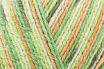 Пряжа Regia Cotton Color (02418/Киви), 72% хлопок, 18% полиамид, 10% полиэстер, 100г/420м