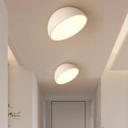 Потолочный светильник SELDEN D20 White