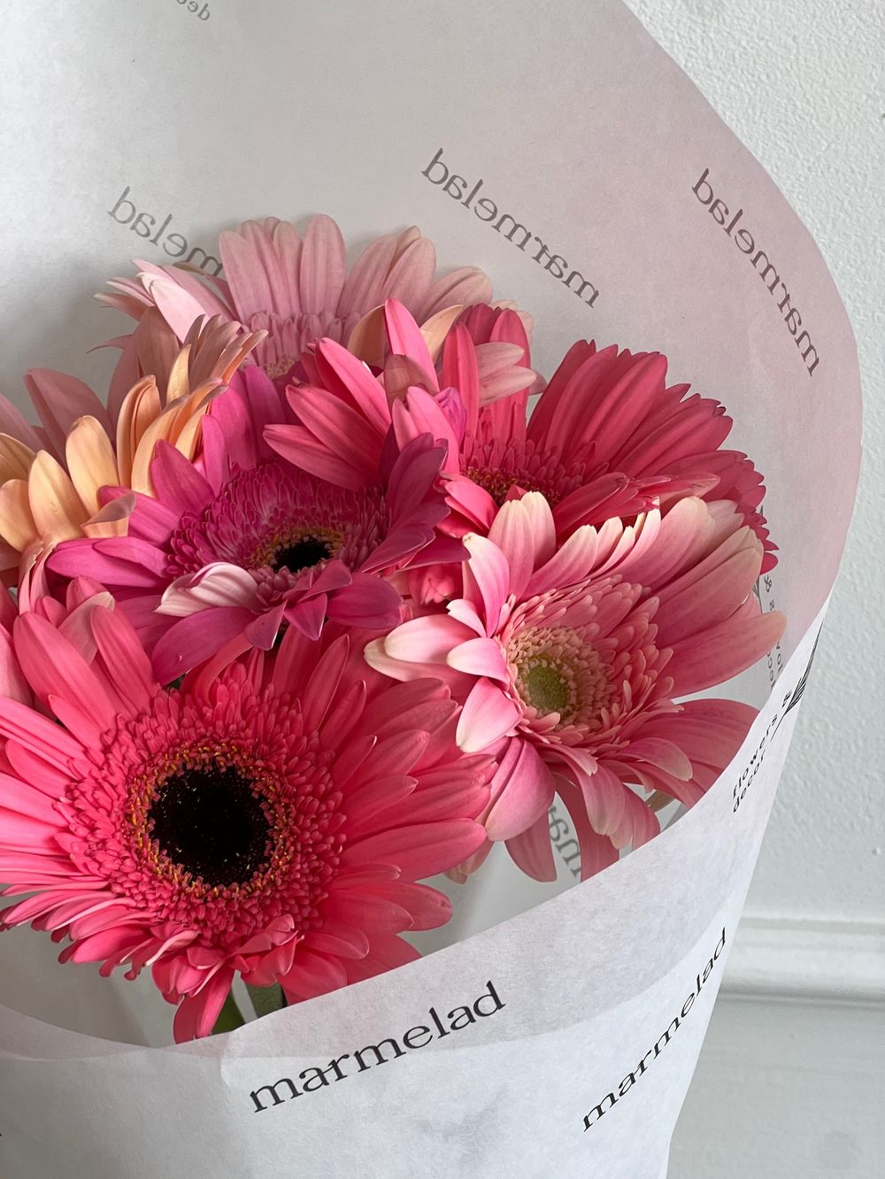 Кулек из гербер в розовом оттенке 7 шт