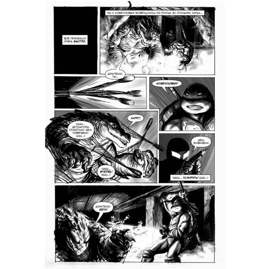 Рассказы о Черепашках-Ниндзя. Книга 3. Кожеголовый