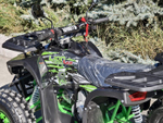 Lion 125 AR lite черный