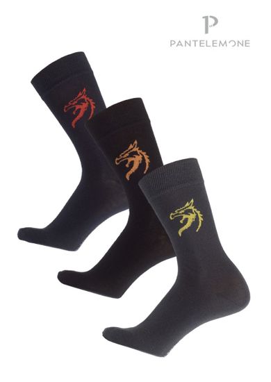 Носки мужские Pantelemone PN-193 (3 пары)