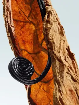 Dries Van Noten Havana gold