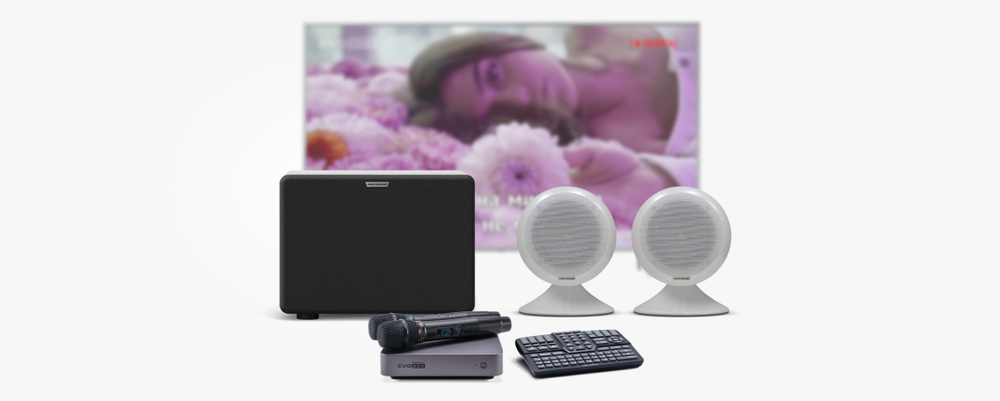 Evolution EvoBox Plus с микрофонами и стереосистемой