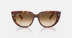 RAY-BAN DOREEN RB2286 141451