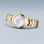 Женские наручные часы Bering 17331-734