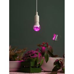 Фитолампа для растений светодиодная ЭРА FITO-25W-RB-E27 красно-синего спектра 25 Вт Е27