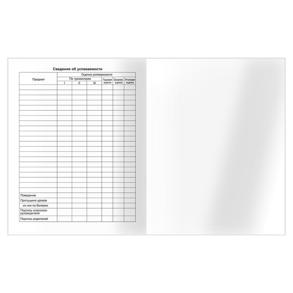 Дневник 5-11 кл. 48л. твердый "Urban style" (BG)