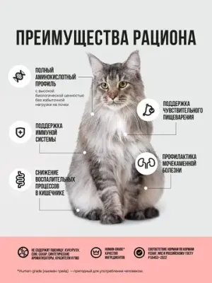 Пауч кусочки в соусе для стерилизованных кошек, с лососем с овощами